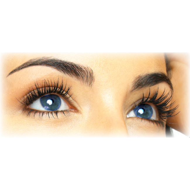 Refectocil eyelash and eyebrow tint